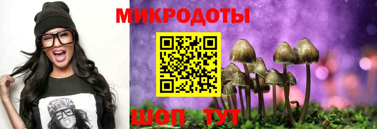 Галлюциногенные грибы Psilocybine cubensis Калач-на-Дону